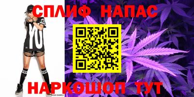 шишки Заволжье