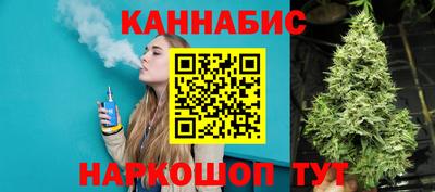 шишки Заволжье