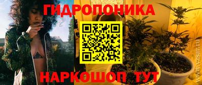шишки Жуковский