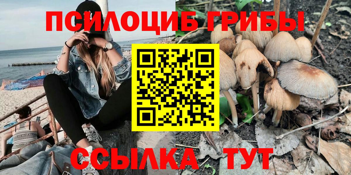Надым  Галлюциногенные грибы ЛСД  закладка  Вход с VPN 