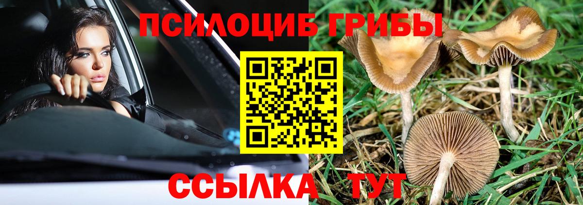 Галлюциногенные грибы ЛСД Надым